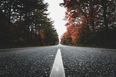Estrada longa rodeada de árvores com folhas de outono, simbolizando o desapego e o caminho para um novo começo.