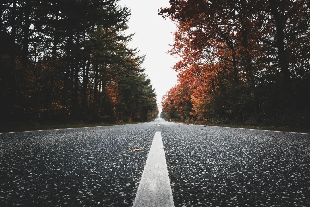 Estrada longa rodeada de árvores com folhas de outono, simbolizando o desapego e o caminho para um novo começo.